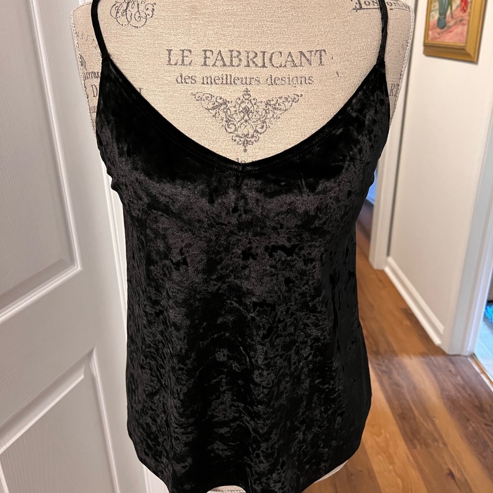 Velvet Hollister Top